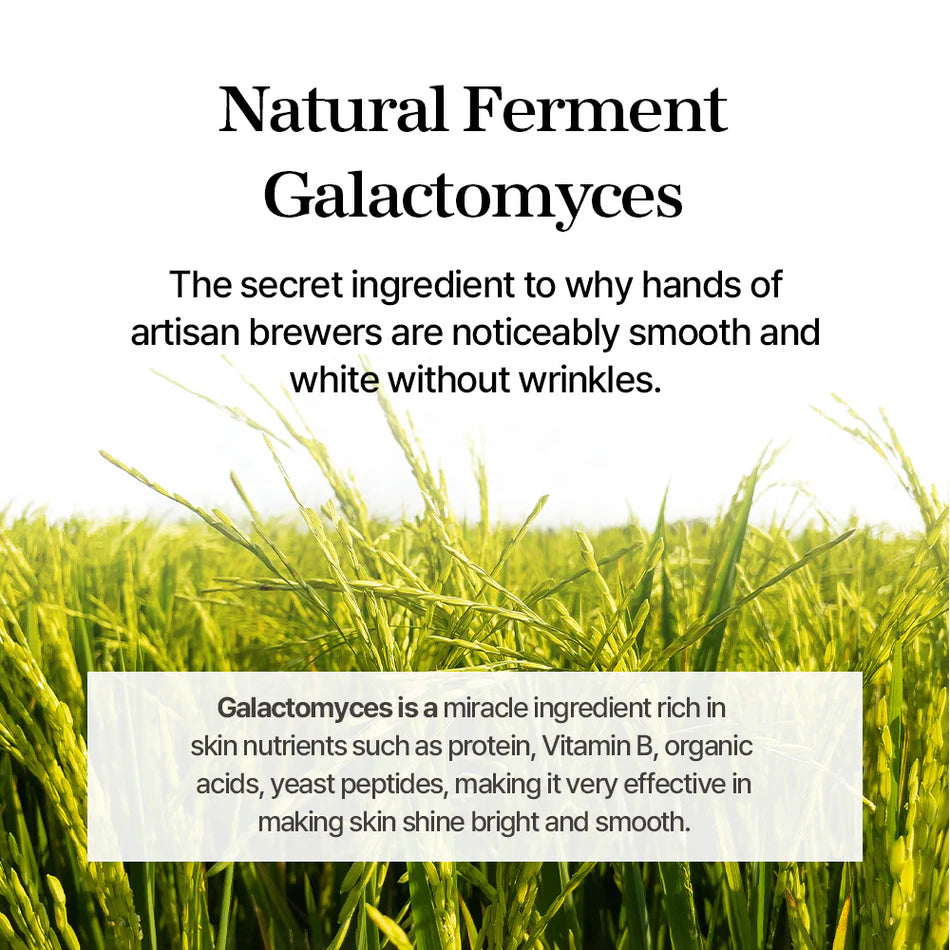mixsoon Galactomyces Ferment Essence-100ml