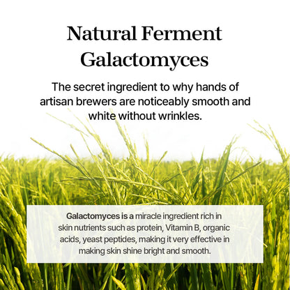 mixsoon Galactomyces Ferment Essence-100ml