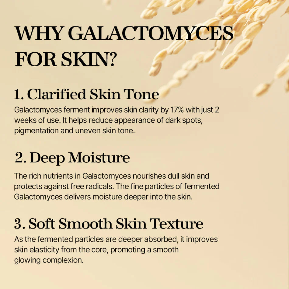 mixsoon Galactomyces Ferment Essence-100ml