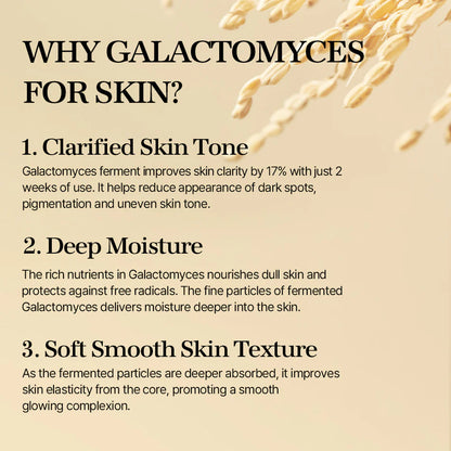 mixsoon Galactomyces Ferment Essence-100ml